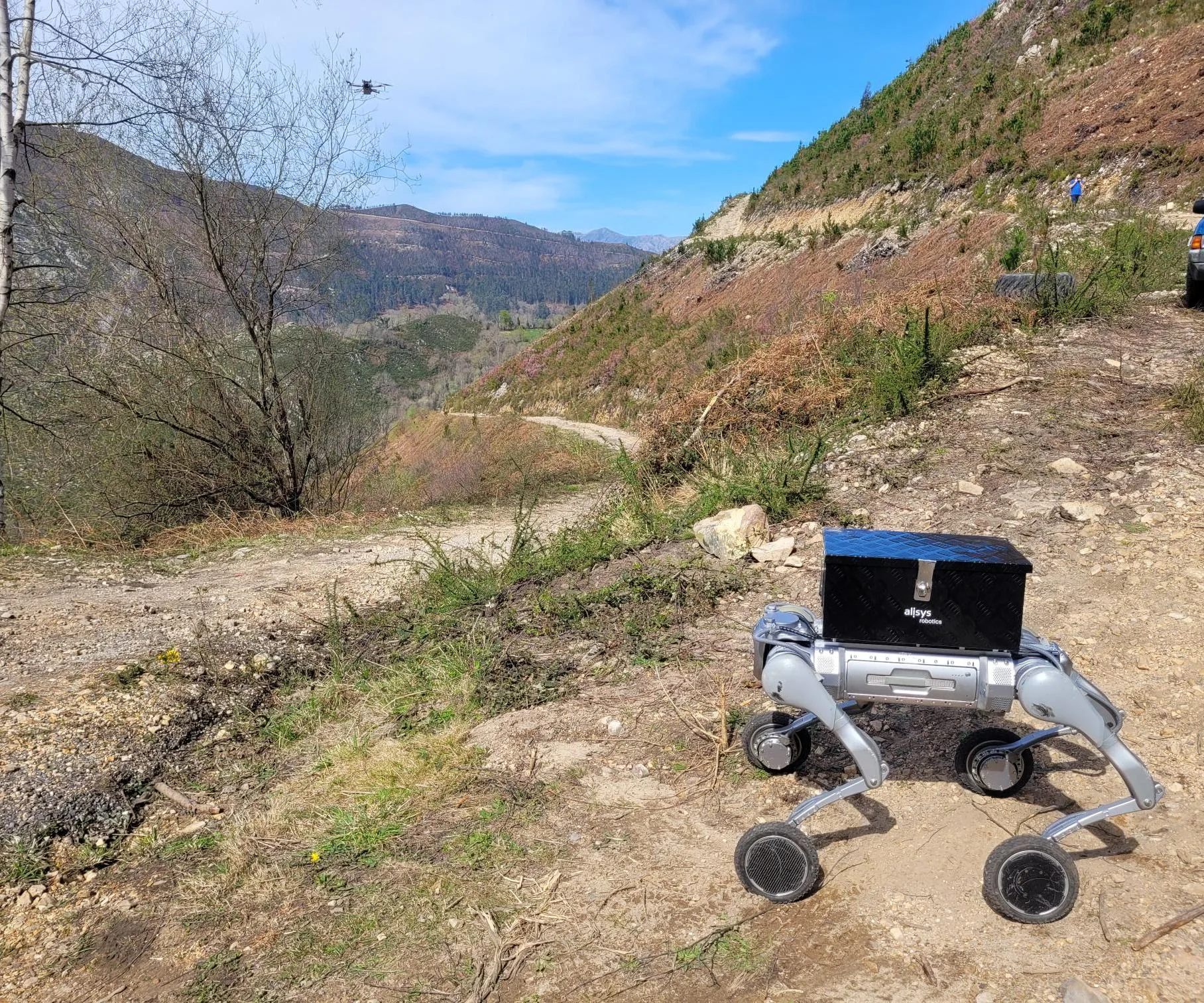 Agro, forestal y medioambiente: imagen de los proyectos de Alisys