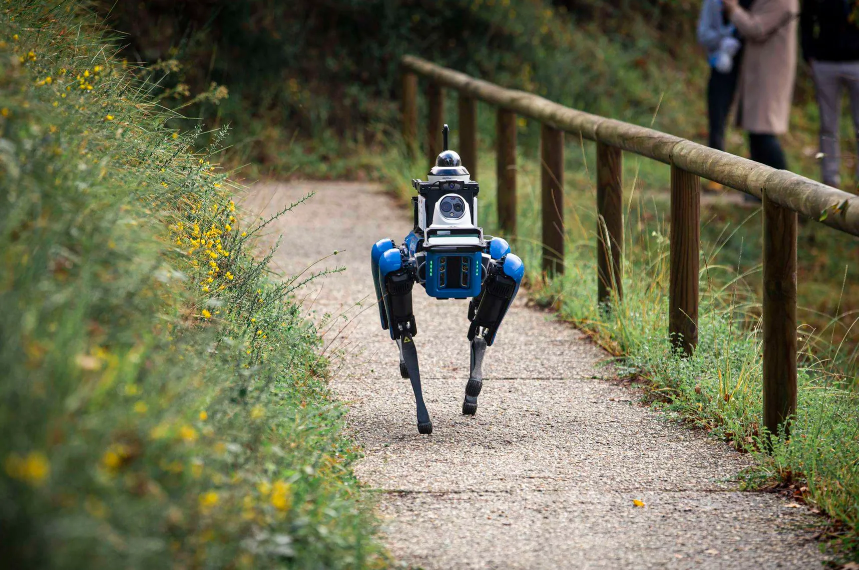 Robot cuadrúpedo con cámaras y sensores recorriendo un sendero