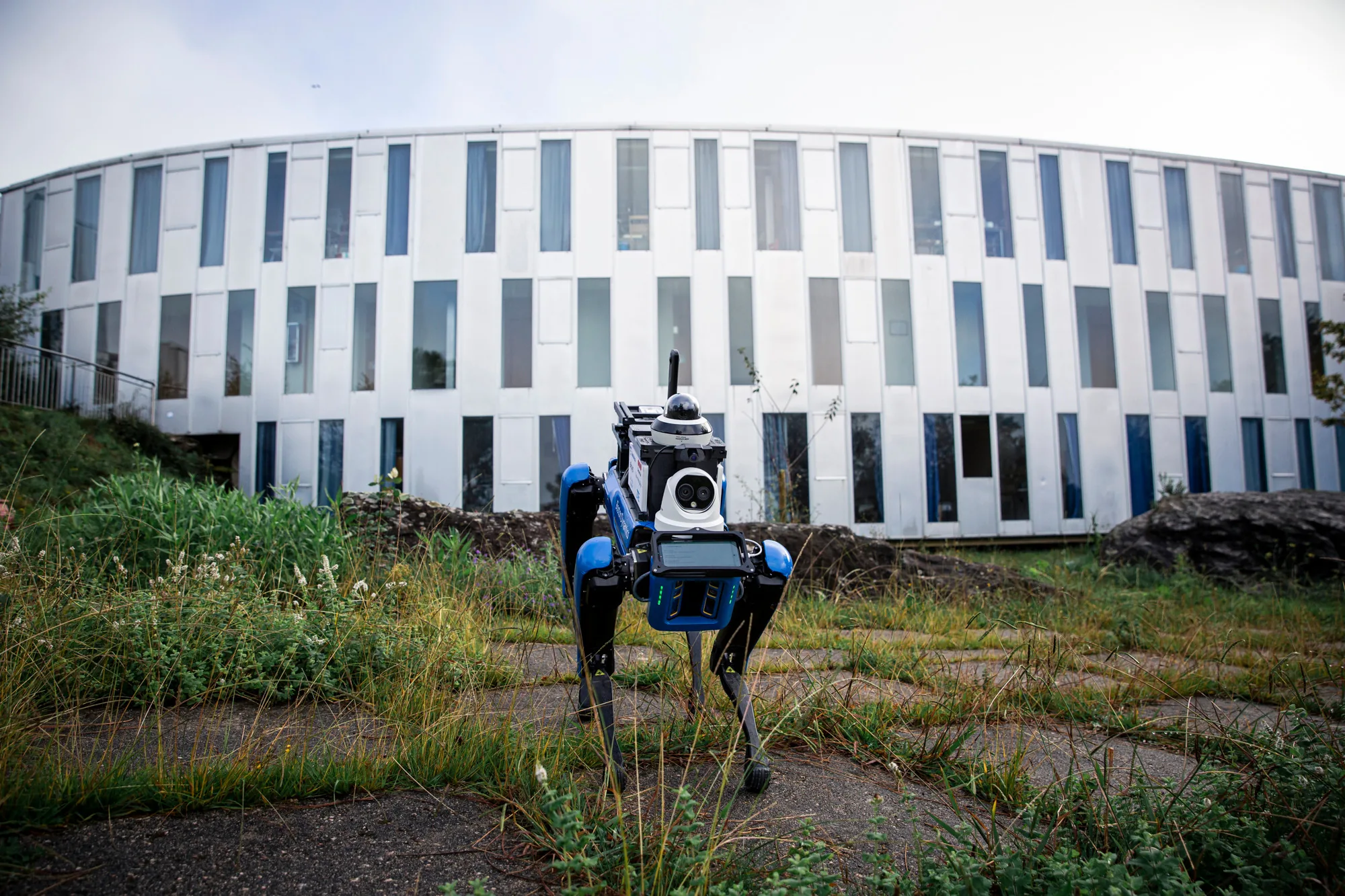 Plataforma cuadrúpeda integrada con sensórica junto a un edificio