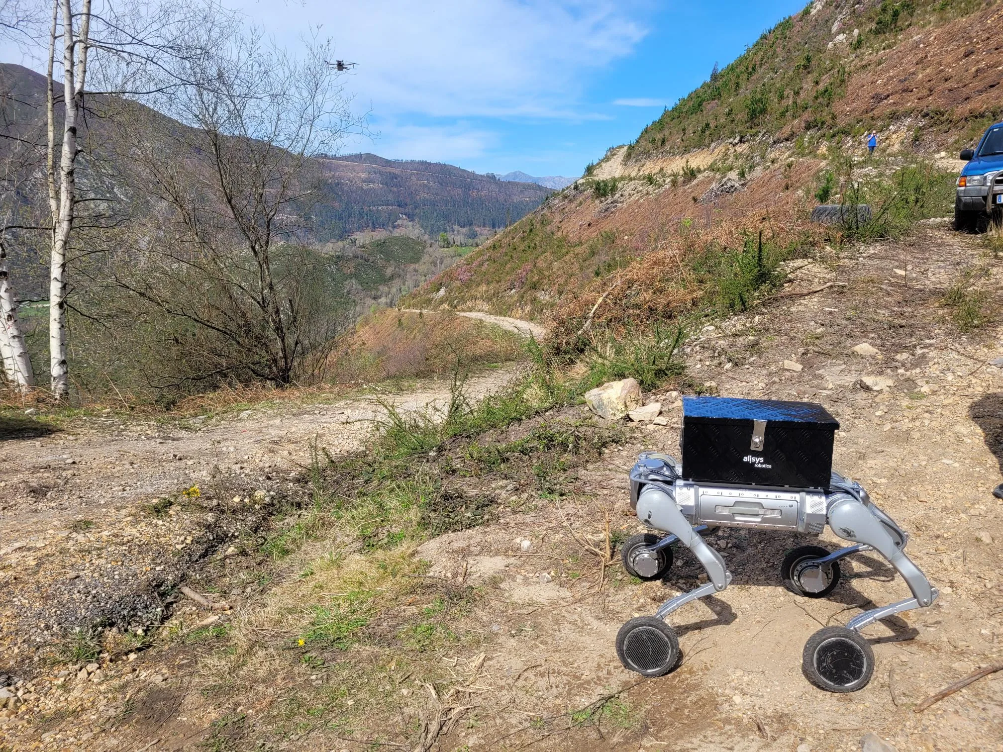 Cuadrúpedo con ruedas en una prueba de movilidad en terreno forestal