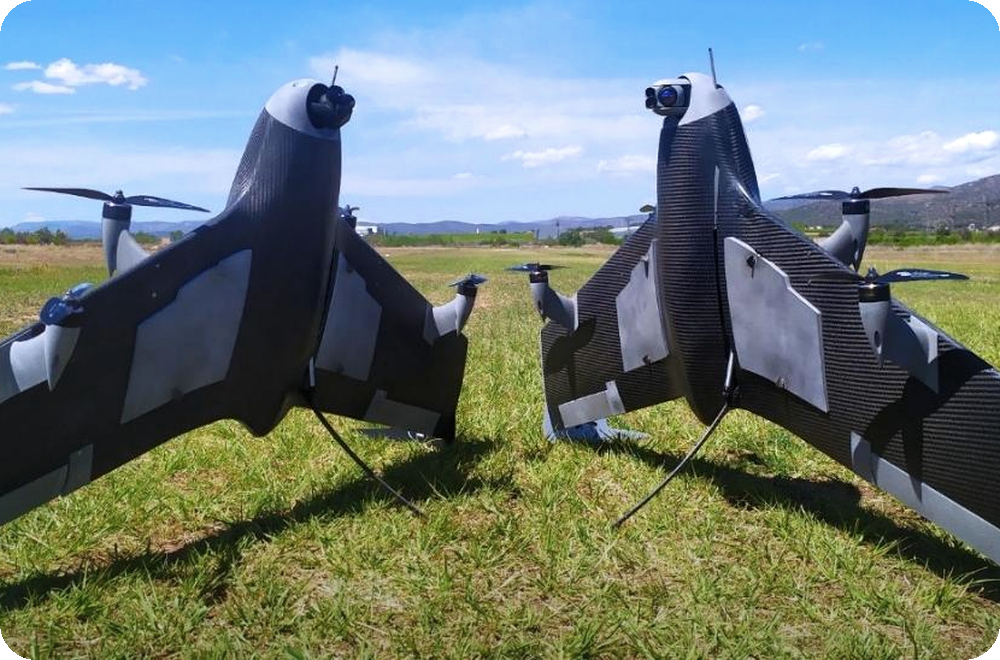 Dos plataformas VALAQ Patrol de UAV Works en un campo de pruebas